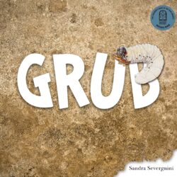 Grub